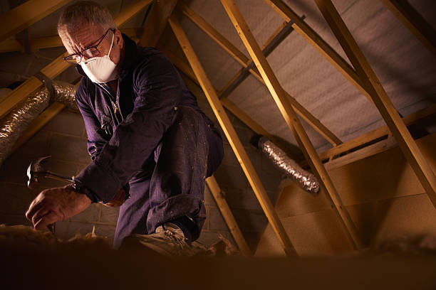 Best Specialized Insulation Services in Ten Mile Creek, MD