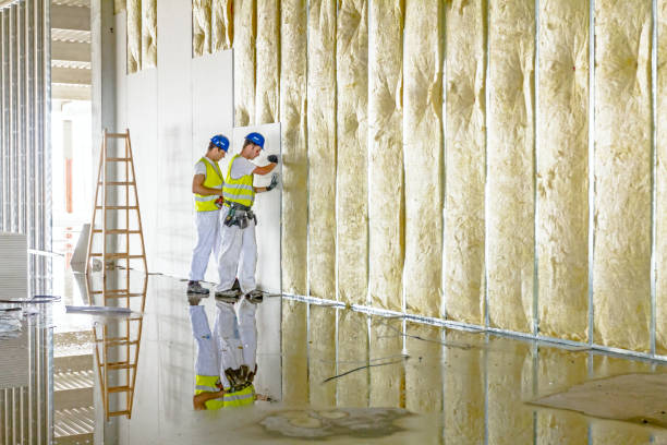 Best Eco-Friendly Insulation in Ten Mile Creek, MD